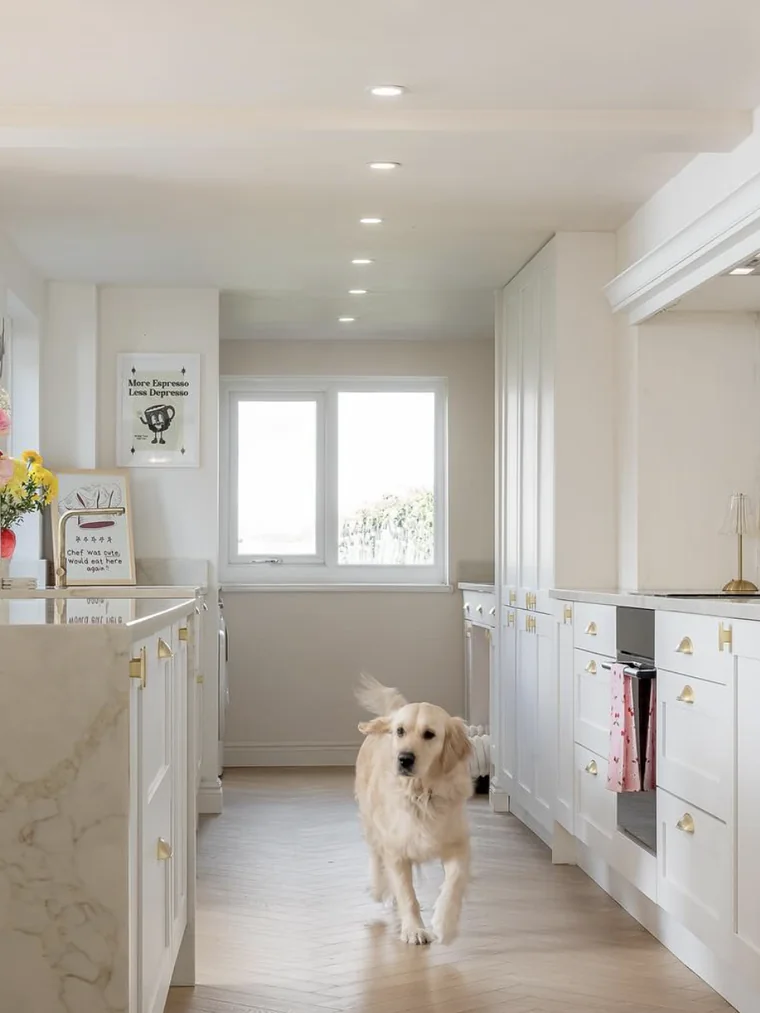 Hannah’s white kitchen with marble island, brass handles and her golden retriever