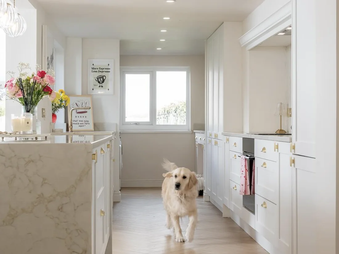 Hannah’s white kitchen with marble island, brass handles and her golden retriever